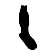 Black Socks